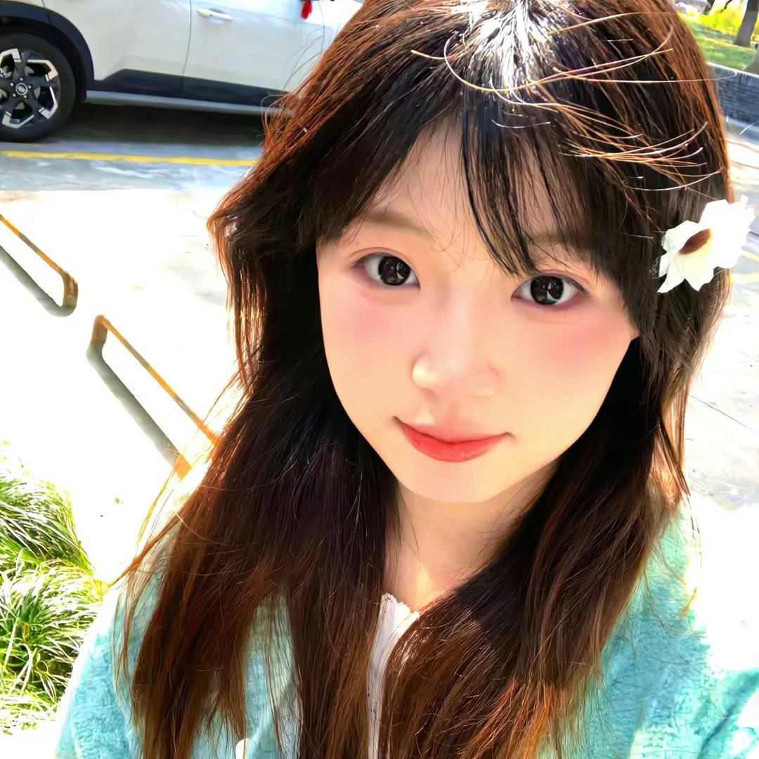鸡同鸭讲